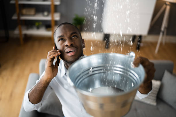 Best Local water damage restoration  in Ridgetop, TN