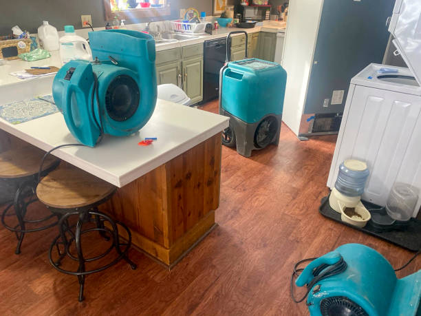 Best Water damage restoration company  in Ridgetop, TN