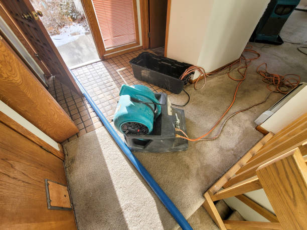 Water damage restoration insurance claims in TN