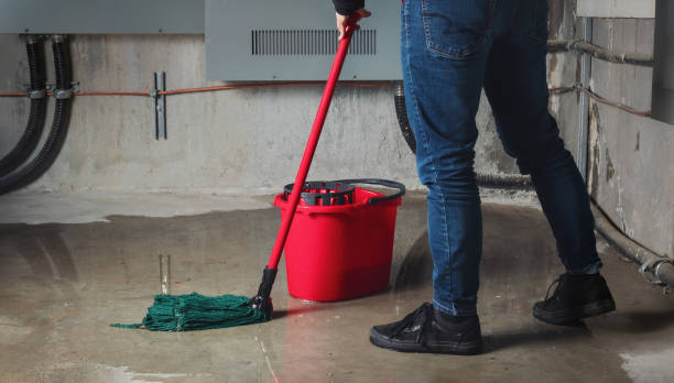 Best Local water damage restoration  in Ridgetop, TN