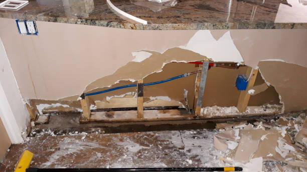 Best Professional water damage repair  in Ridgetop, TN