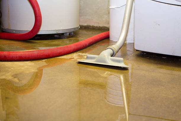 Best Flood damage cleanup  in Ridgetop, TN