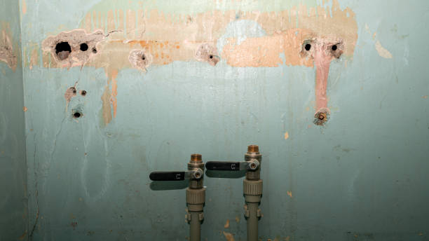 Best Ceiling water damage repair  in Ridgetop, TN