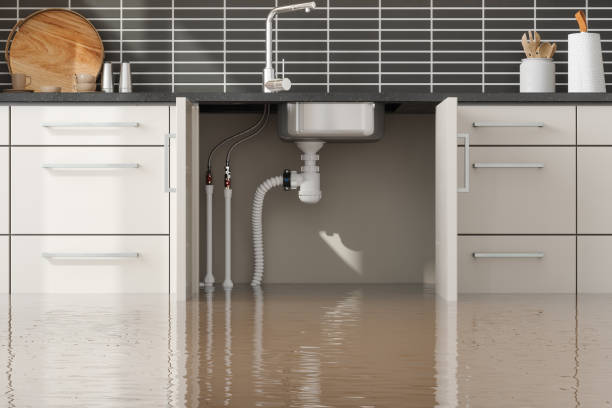 Best Residential water damage restoration  in Ridgetop, TN