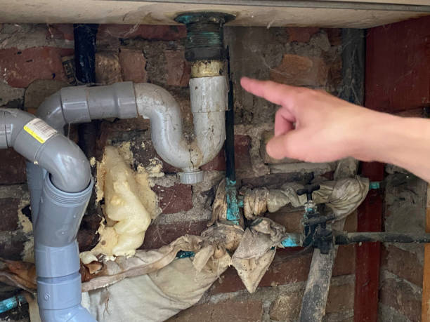 Best Water damage cleanup near me  in Ridgetop, TN
