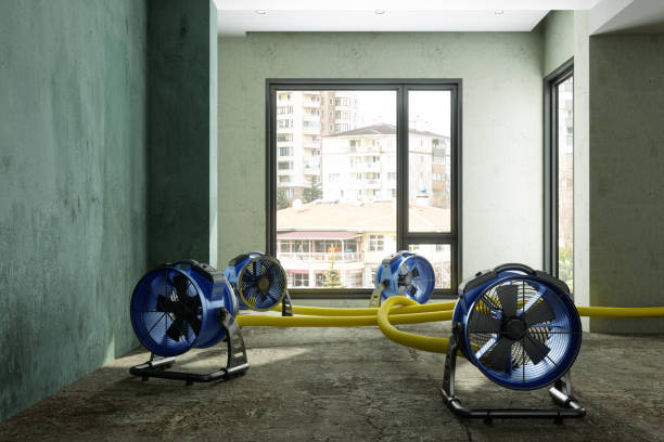 Best Water damage contractors near me  in Ridgetop, TN